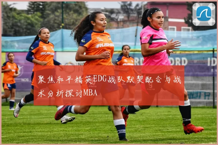 聚焦和平精英EDG战队默契配合与战术分析探讨MBA