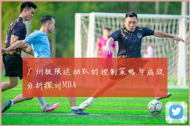广州极限运动队的控制策略与成效分析探讨MBA