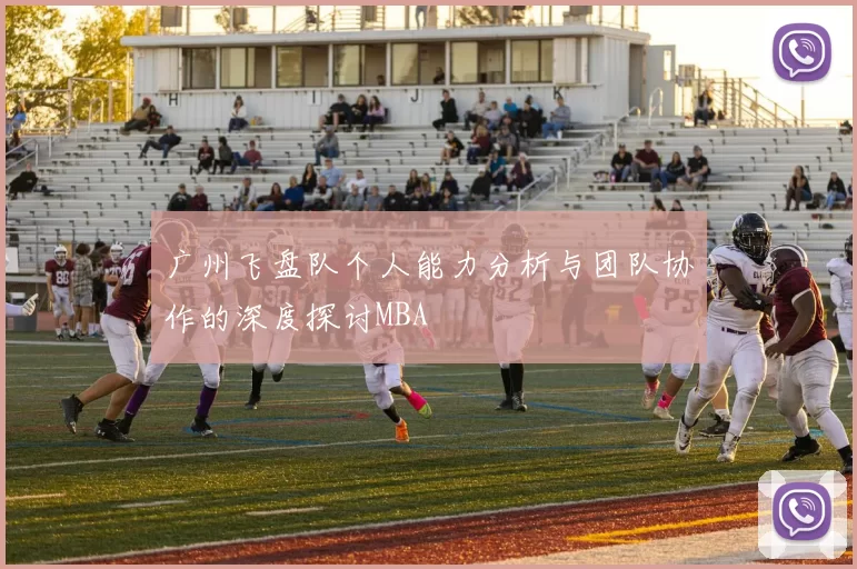 广州飞盘队个人能力分析与团队协作的深度探讨MBA