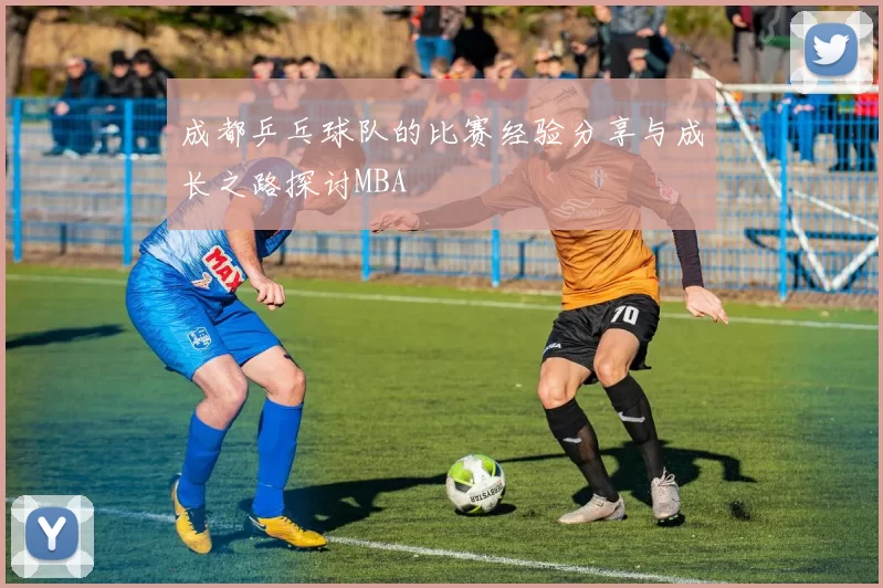 成都乒乓球队的比赛经验分享与成长之路探讨MBA