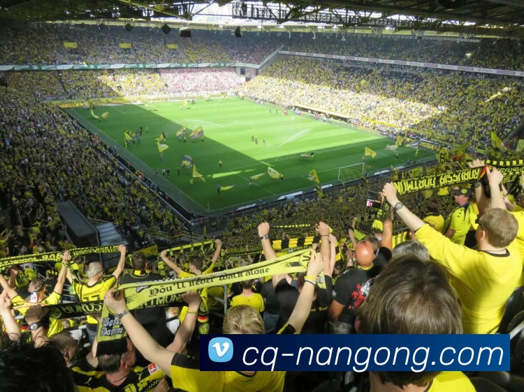 南宫28服务体系