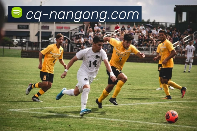 南宫28APP 封面图